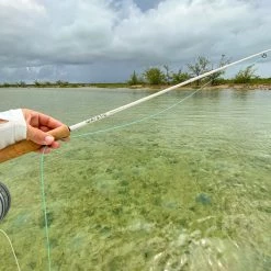 Warstic CHARGR COASTAL FLY ROD - 8WT